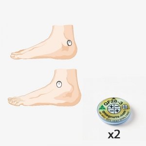 Magnetic field therapy device for Severe Ankle Pain