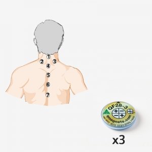 Upper Back Pain Relief Magnetic therapy kit