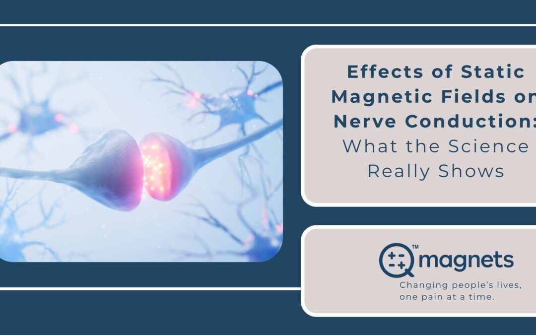 Illustration of neurons transmitting signals across a synapse, representing the effects of static magnetic fields on nerve conduction, alongside Q Magnets branding.