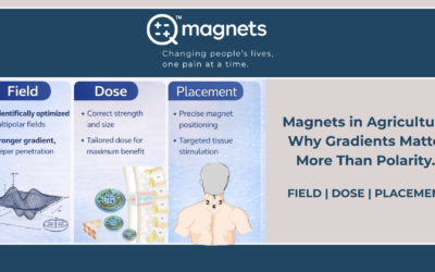 Magnets, Crops, and North–South Folklore: Why Field Gradient Matters More Than Polarity