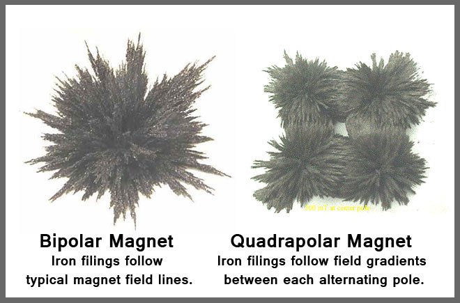 IronFillingsMagnet
