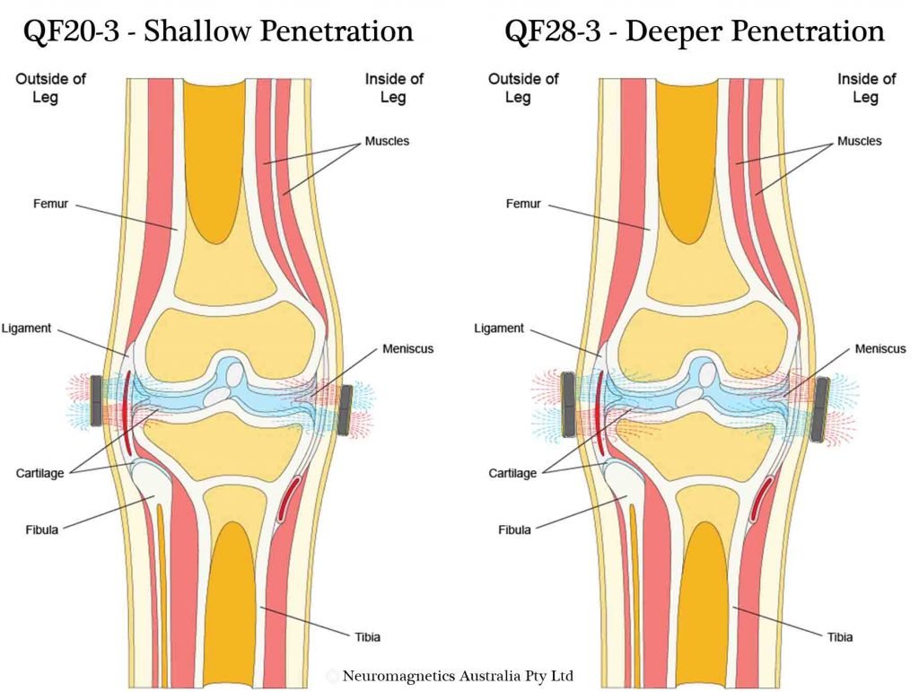 Biomagnetic Pairing and Q Magnets