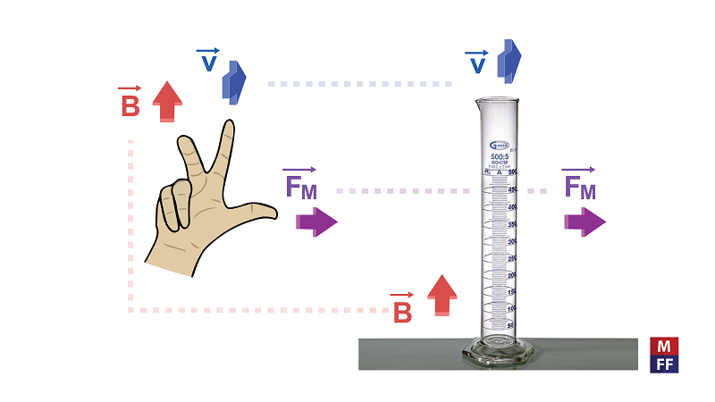 magnetized water experiment