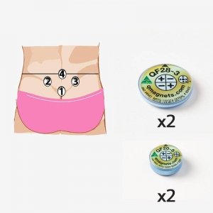 Magnetic field therapy devices for lower back pain