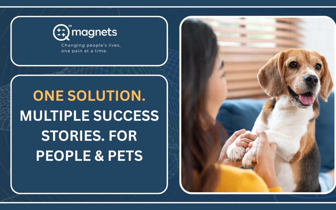 From dog to knee to a son’s ankle; the many uses of Q Magnets