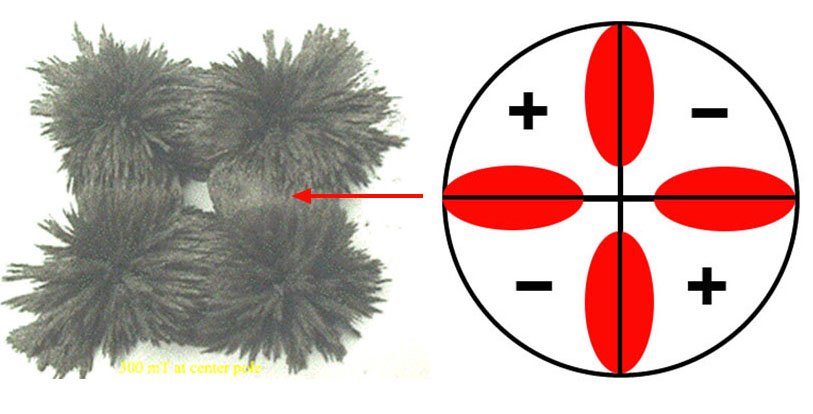 Left Image: Iron filings showing direction of magnetic field lines over a Quadrapolar magnet. Right Image: Red regions showing physiological active areas of magnet.
