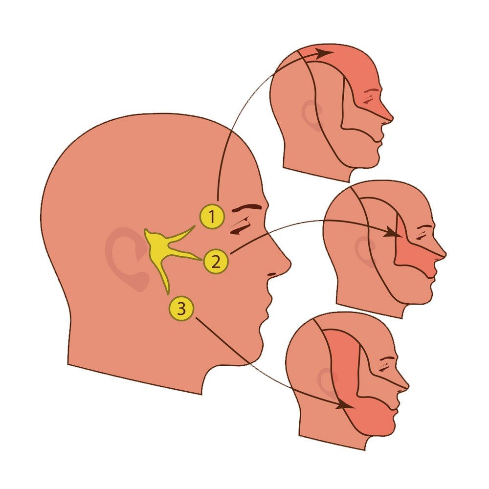 Temperomandibular Joint TMJ Pain Trigeminal Neuralgia