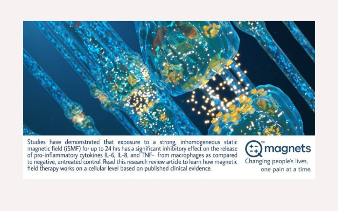 What the Vergallo Study Reveals About Anti-Inflammatory Effects of Static Magnetic Fields
