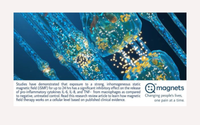 What the Vergallo Study Reveals About Anti-Inflammatory Effects of Static Magnetic Fields
