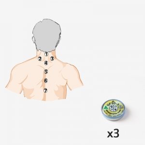 Upper Back Pain Relief Magnets - Moderate - QF20-3x2 - Magnetic therapy