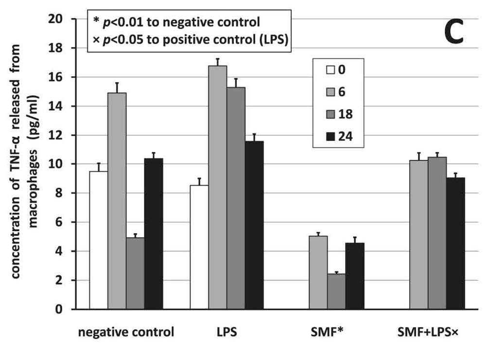 TNF-alpha release from macrophages under static magnetic field exposure