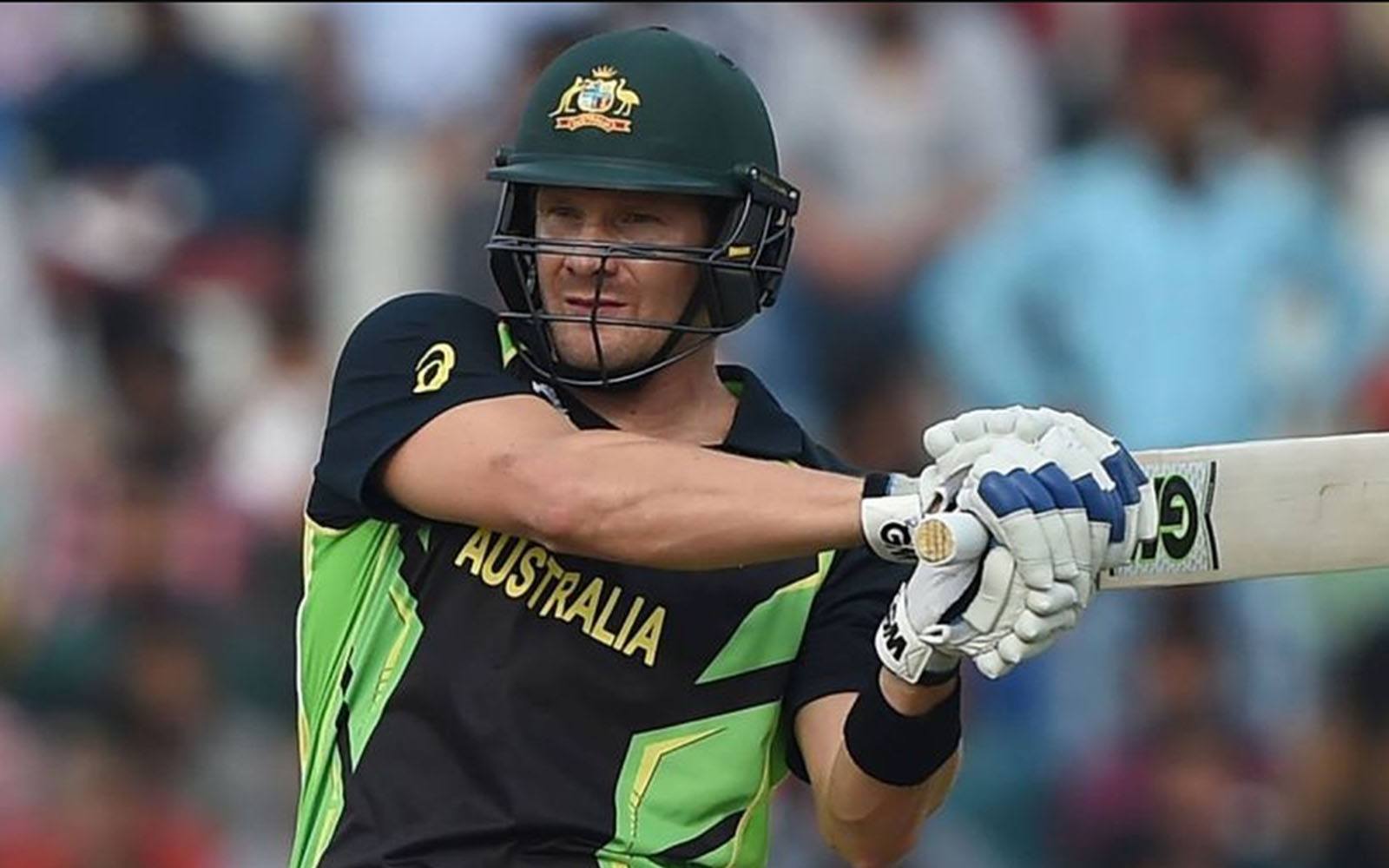 Shane Watson - Q Magnets therapy review sports physio