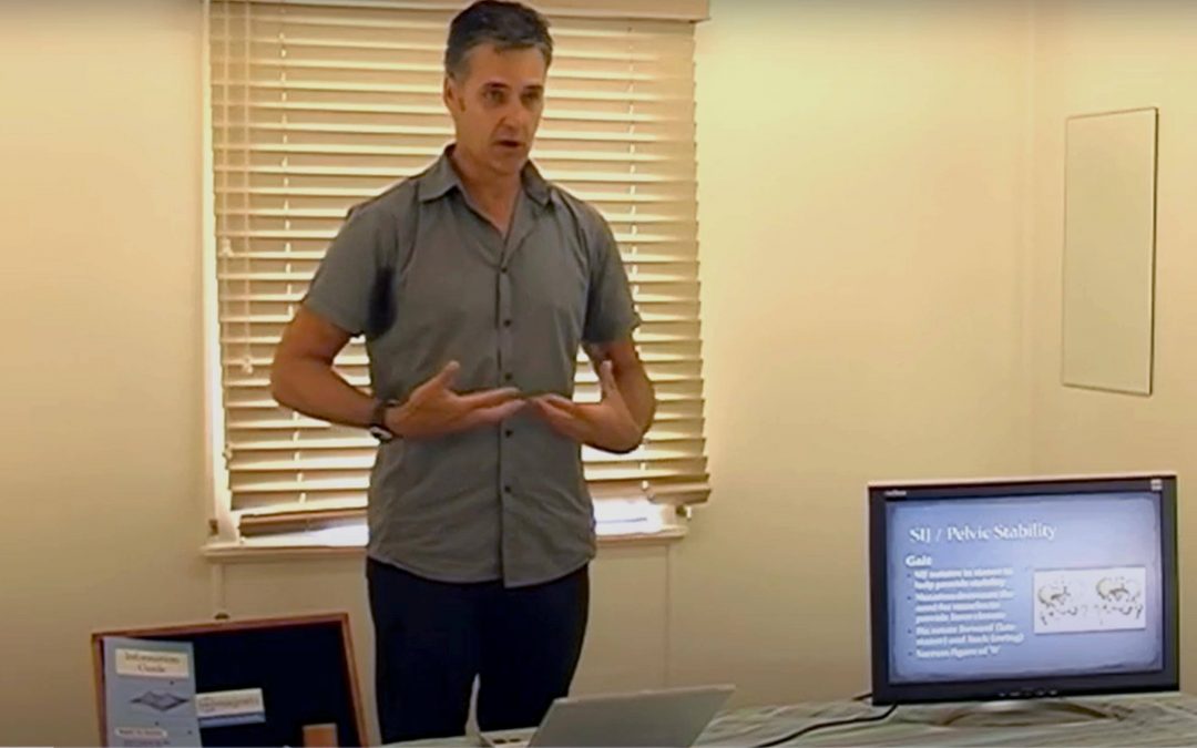 muscle memory neuromuscular facilitation peter stanton physiotherapy q magnets