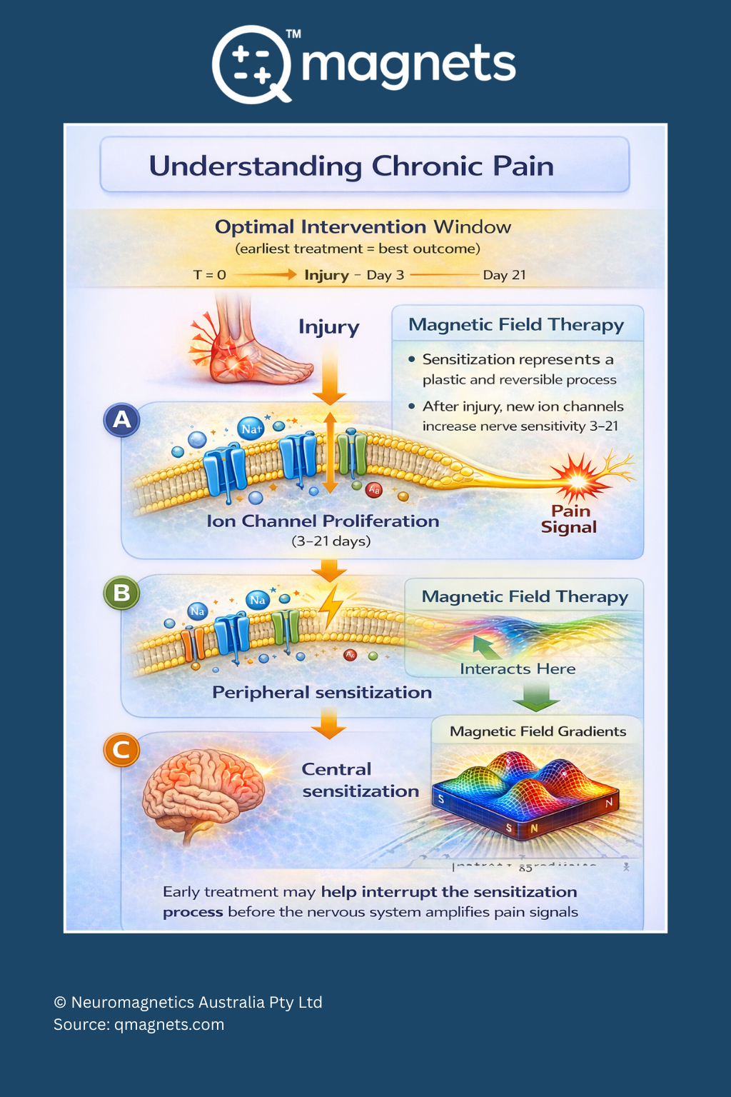 Infographic explaining chronic pain development and the sensitization process after injury.